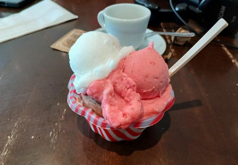 The Moneris Merchant Scoop-Italian Ice Cream