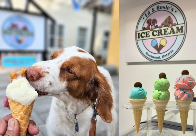The Sweetest Day of Summer- Ice Cream Spots to Scoop Out This National Ice Cream Day