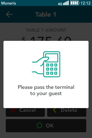 pass terminal to guest